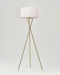 Jaxon Floor Lamp - Smart Ambient Lighting Comfort (Floor Lamp, Living Room Light, Modern Stand Light)