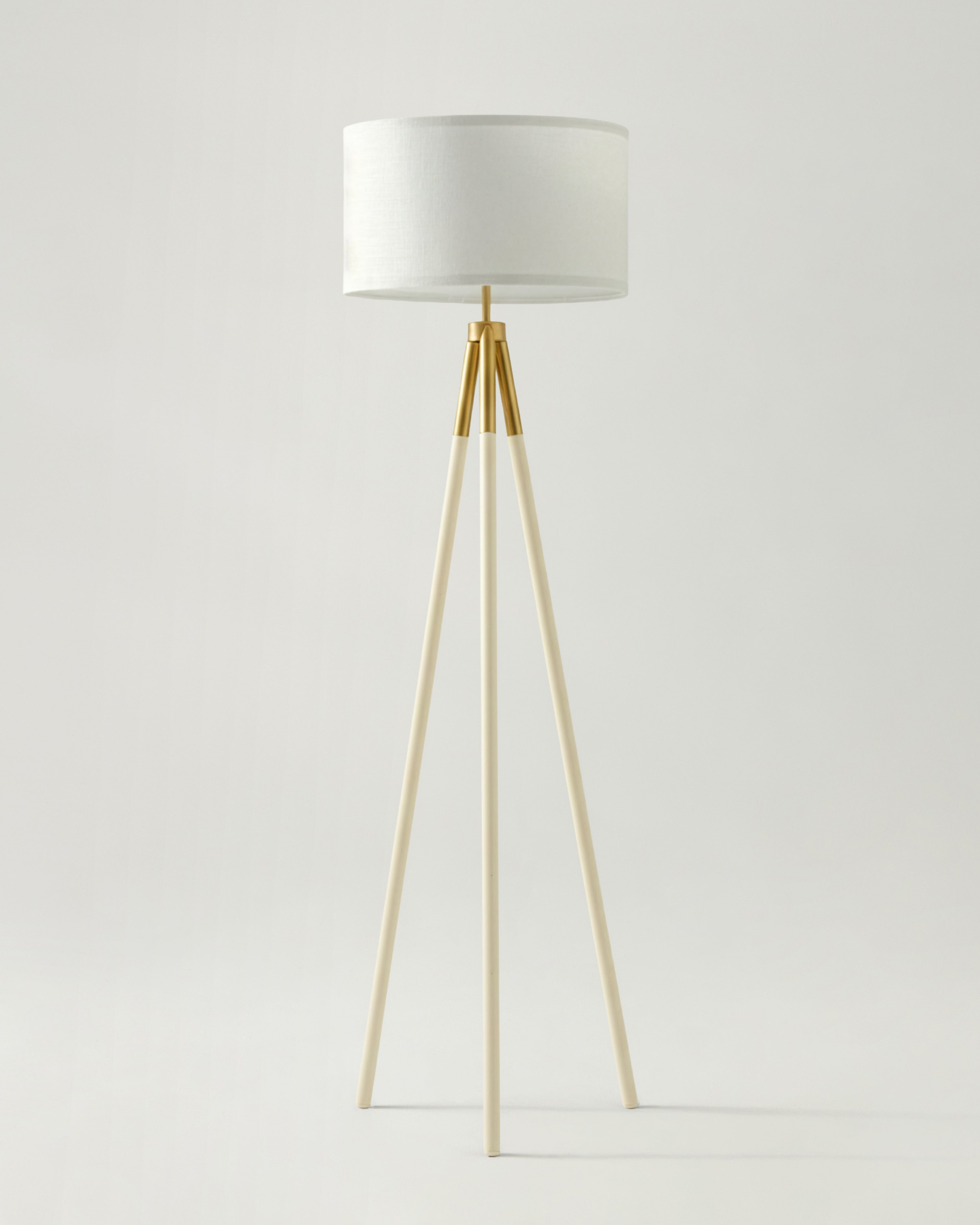 Levi Floor Lamp - Smart Ambient Lighting Comfort (Floor Lamp, Living Room Light, Modern Stand Light)