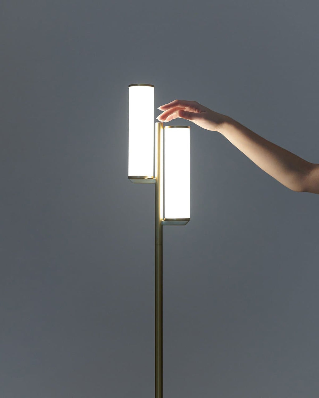 Gemini Floor Lamp - Smart Ambient Lighting Comfort (Floor Lamp, Living Room Light, Modern Stand Light)
