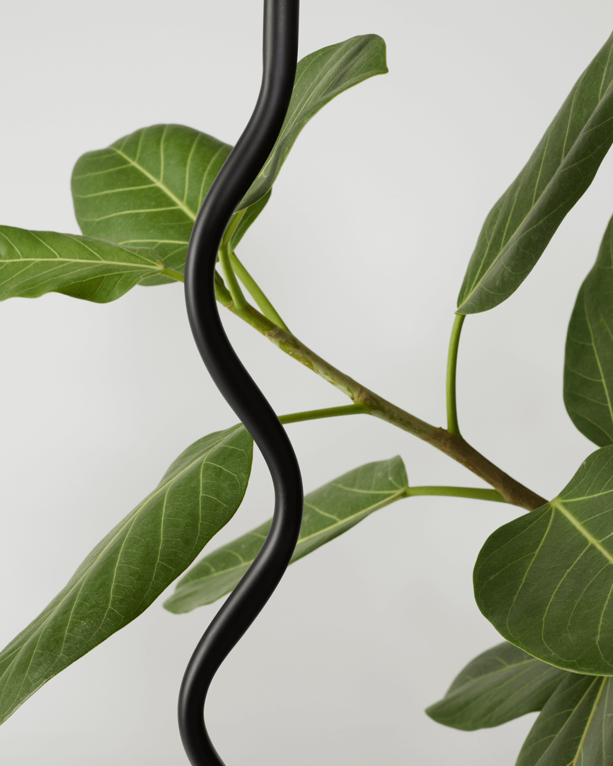 Squiggle Floor Lamp - Smart Ambient Lighting Comfort (Floor Lamp, Living Room Light, Modern Stand Light)
