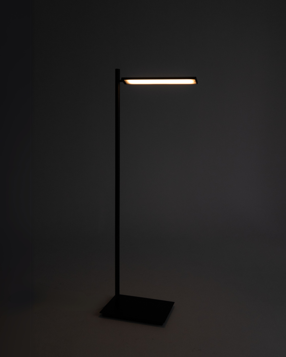 Linden Floor Lamp - Smart Ambient Lighting Comfort (Floor Lamp, Living Room Light, Modern Stand Light)