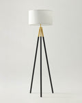 Levi Floor Lamp - Smart Ambient Lighting Comfort (Floor Lamp, Living Room Light, Modern Stand Light)