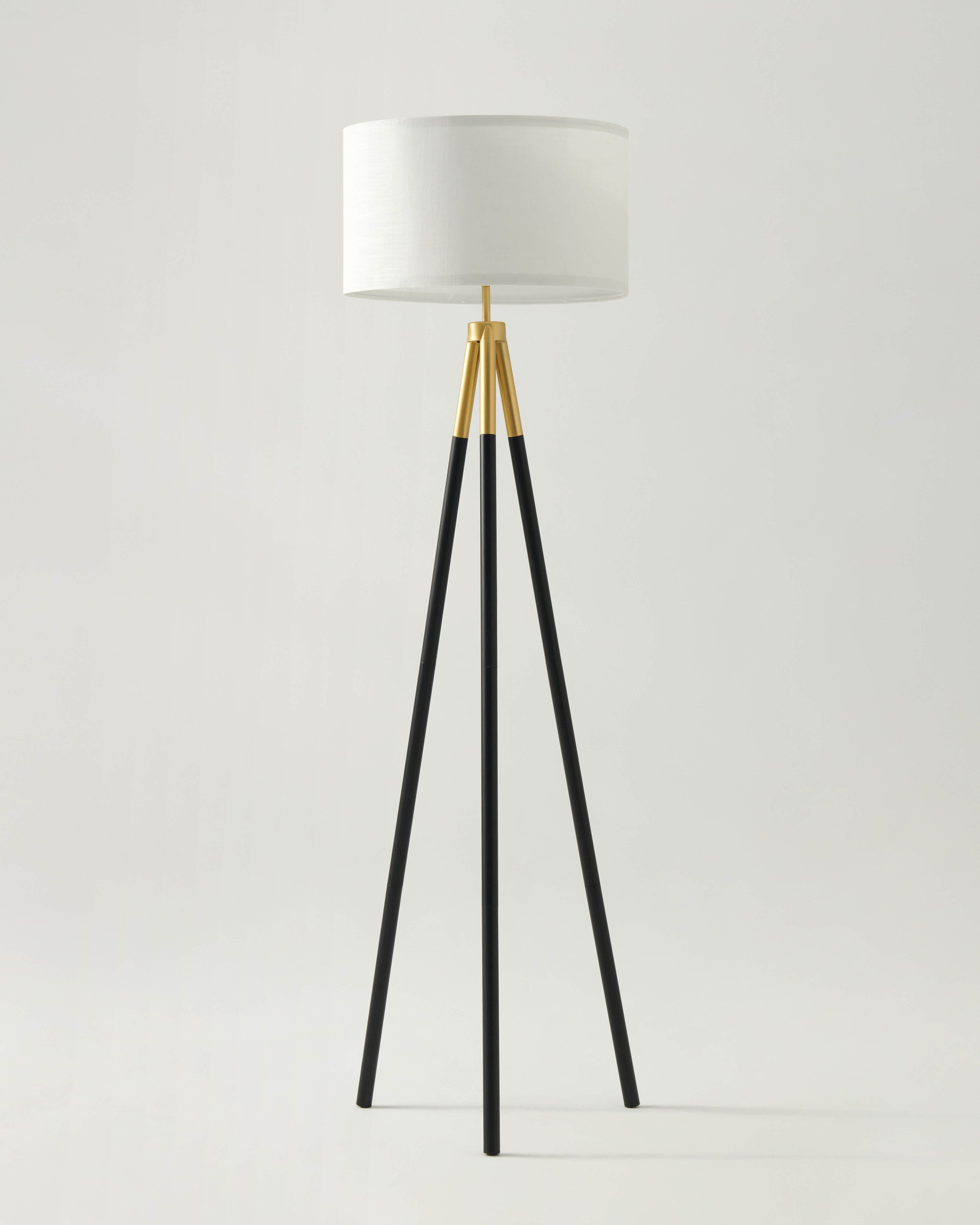 Levi Floor Lamp - Smart Ambient Lighting Comfort (Floor Lamp, Living Room Light, Modern Stand Light)