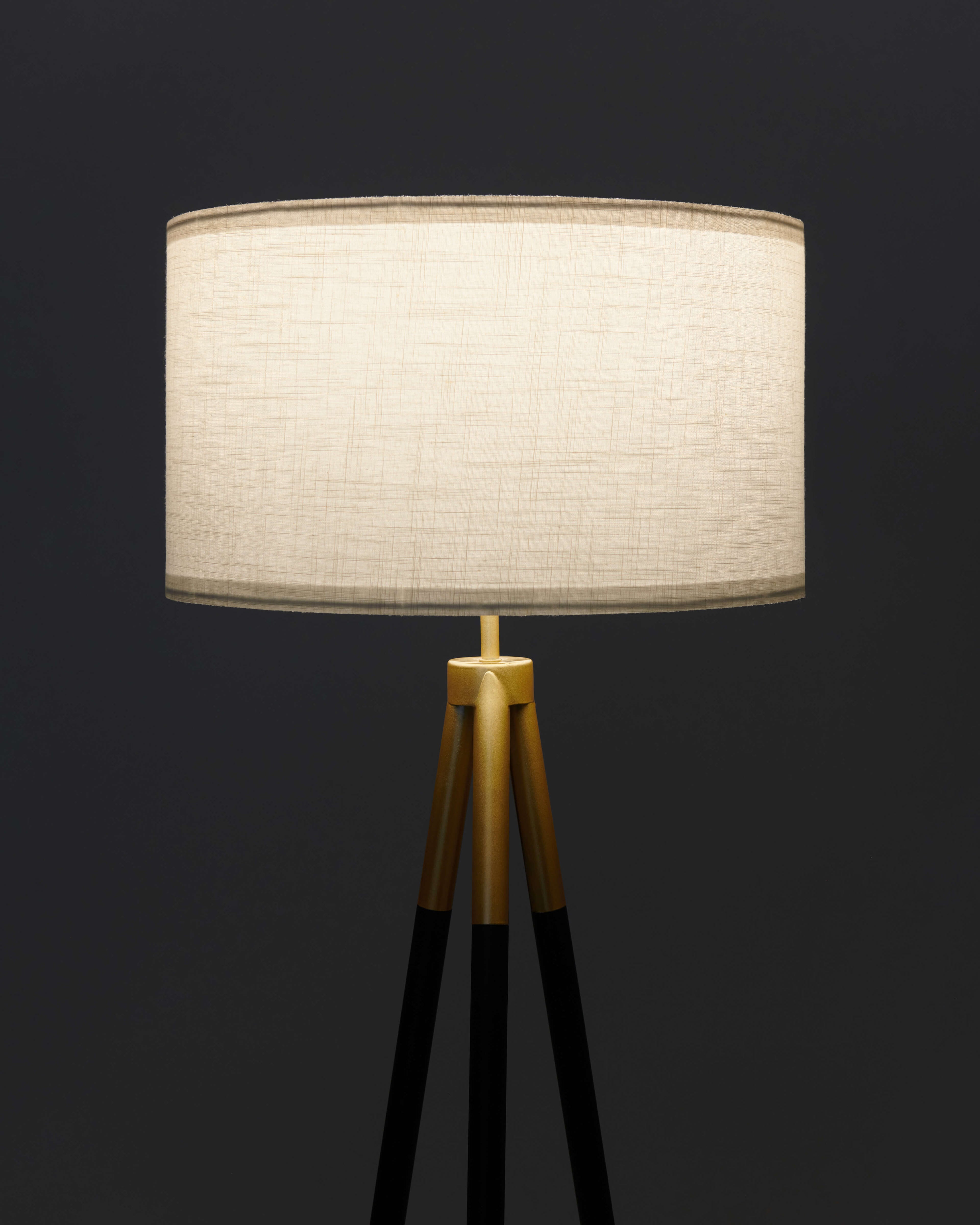 Levi Floor Lamp - Smart Ambient Lighting Comfort (Floor Lamp, Living Room Light, Modern Stand Light)