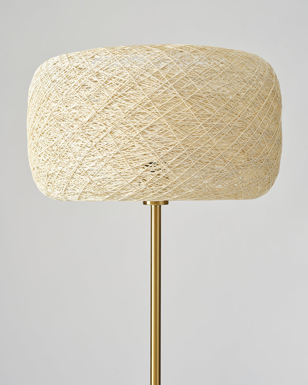 Rowan Floor Lamp - Smart Ambient Lighting Comfort (Floor Lamp, Living Room Light, Modern Stand Light)