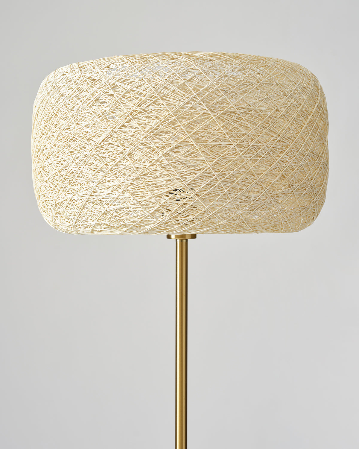 Rowan Floor Lamp - Smart Ambient Lighting Comfort (Floor Lamp, Living Room Light, Modern Stand Light)