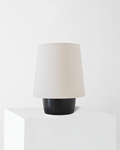 Dan Table Lamp - Smart Ambient Lighting Comfort (Table Lamp, Indoor Lighting, Modern Desk Light)