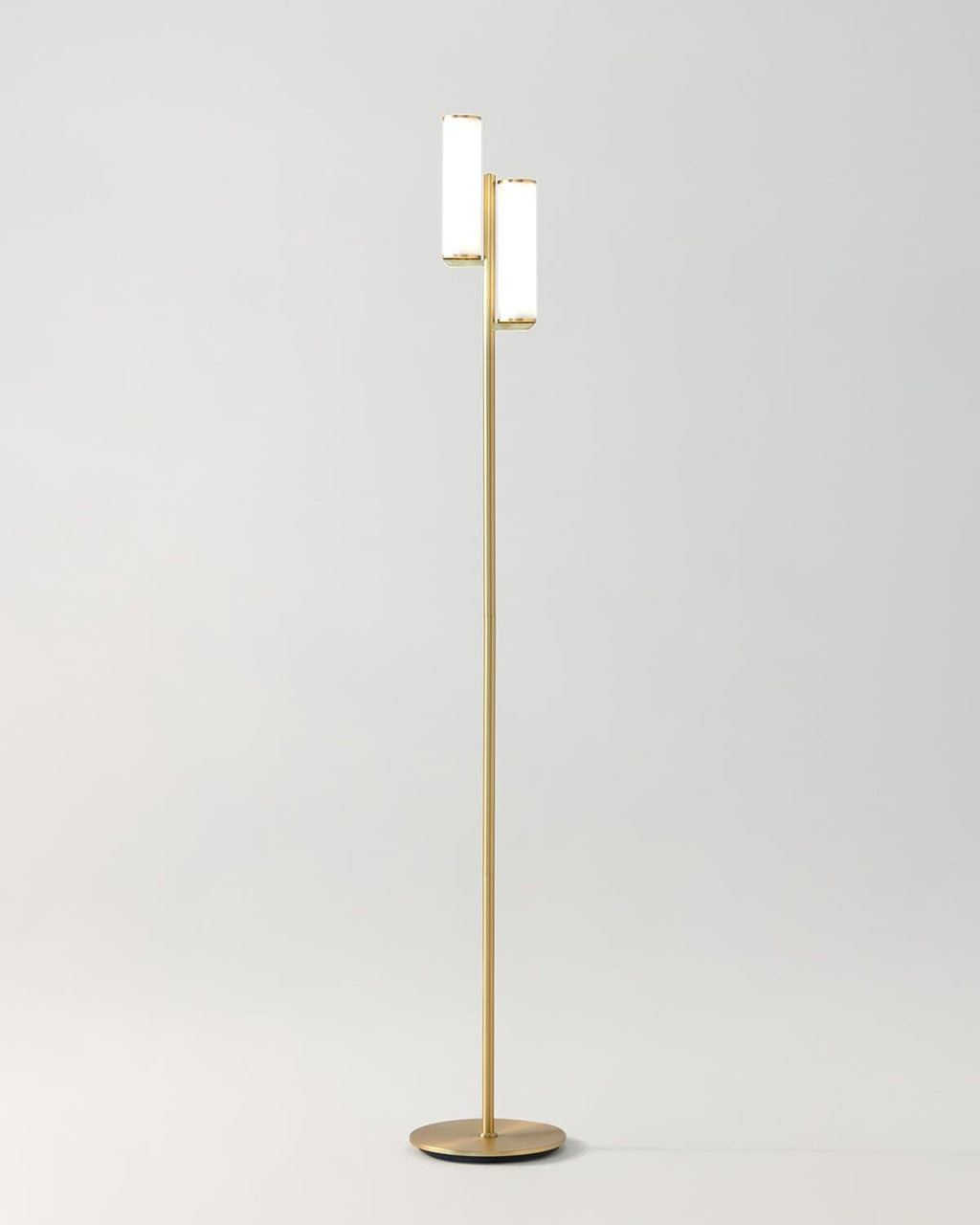 Gemini Floor Lamp - Smart Ambient Lighting Comfort (Floor Lamp, Living Room Light, Modern Stand Light)