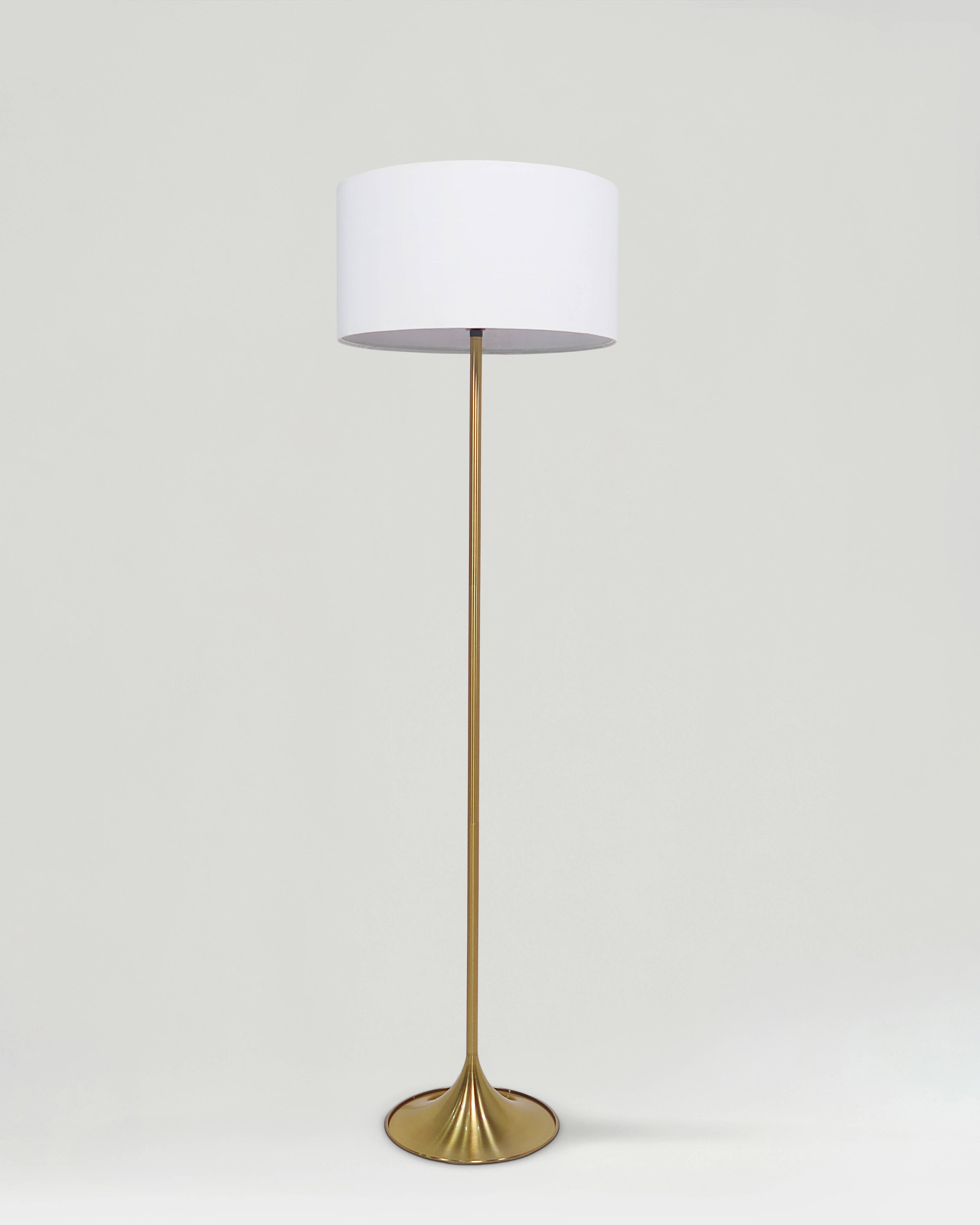 Quinn Floor Lamp - Smart Ambient Lighting Comfort (Floor Lamp, Living Room Light, Modern Stand Light)
