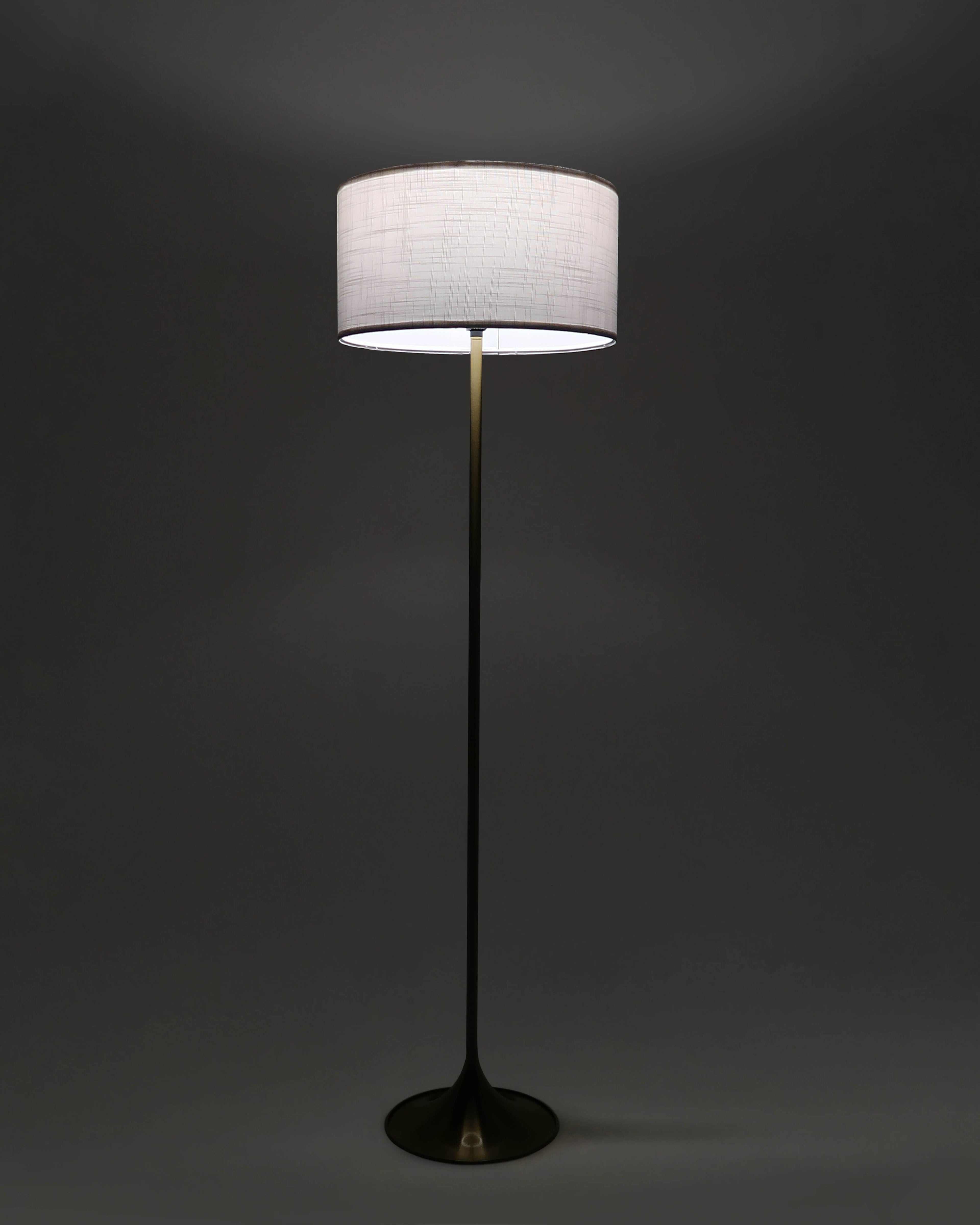 Quinn Floor Lamp - Smart Ambient Lighting Comfort (Floor Lamp, Living Room Light, Modern Stand Light)