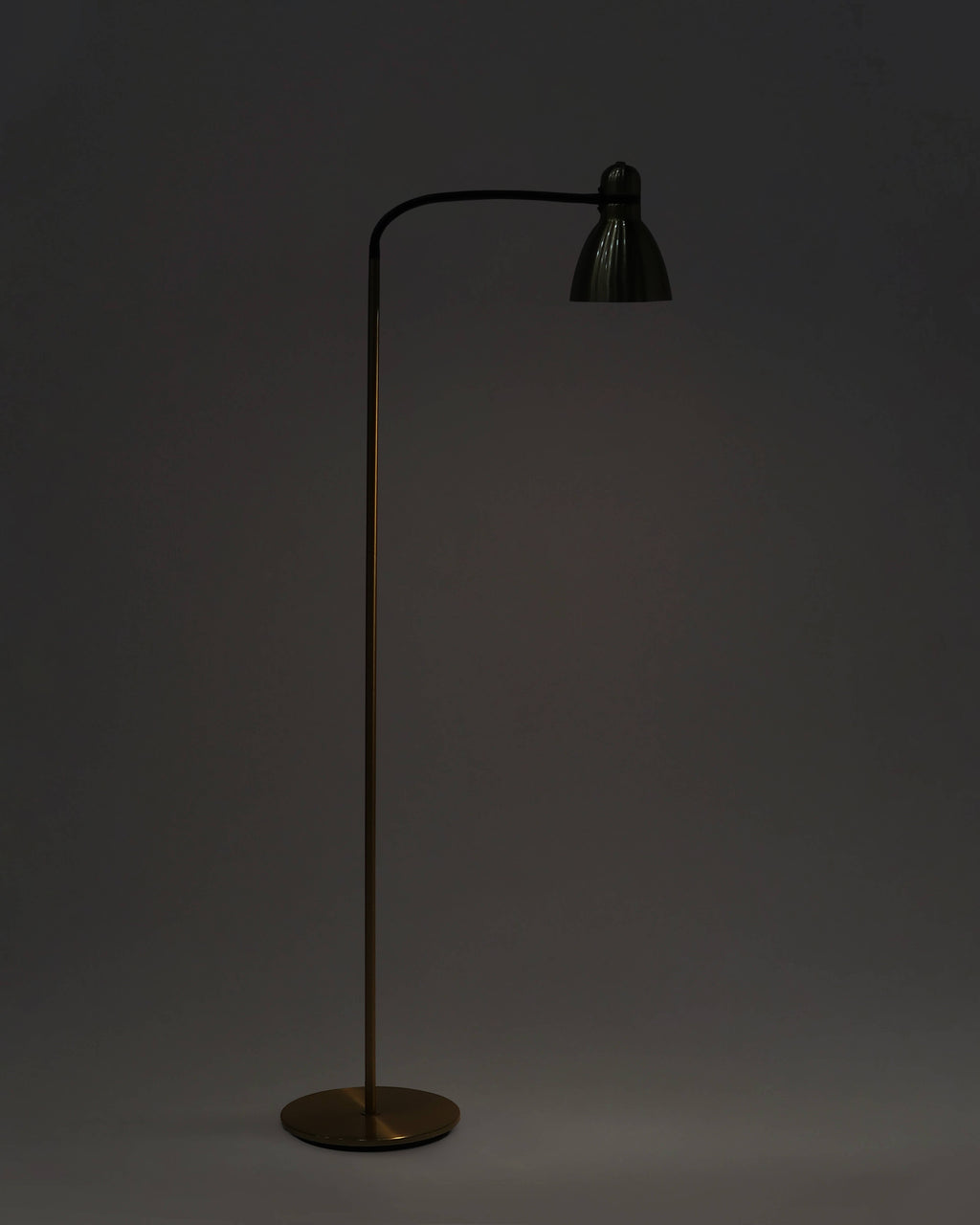 Avery Floor Lamp - Smart Ambient Lighting Comfort (Floor Lamp, Living Room Light, Modern Stand Light)