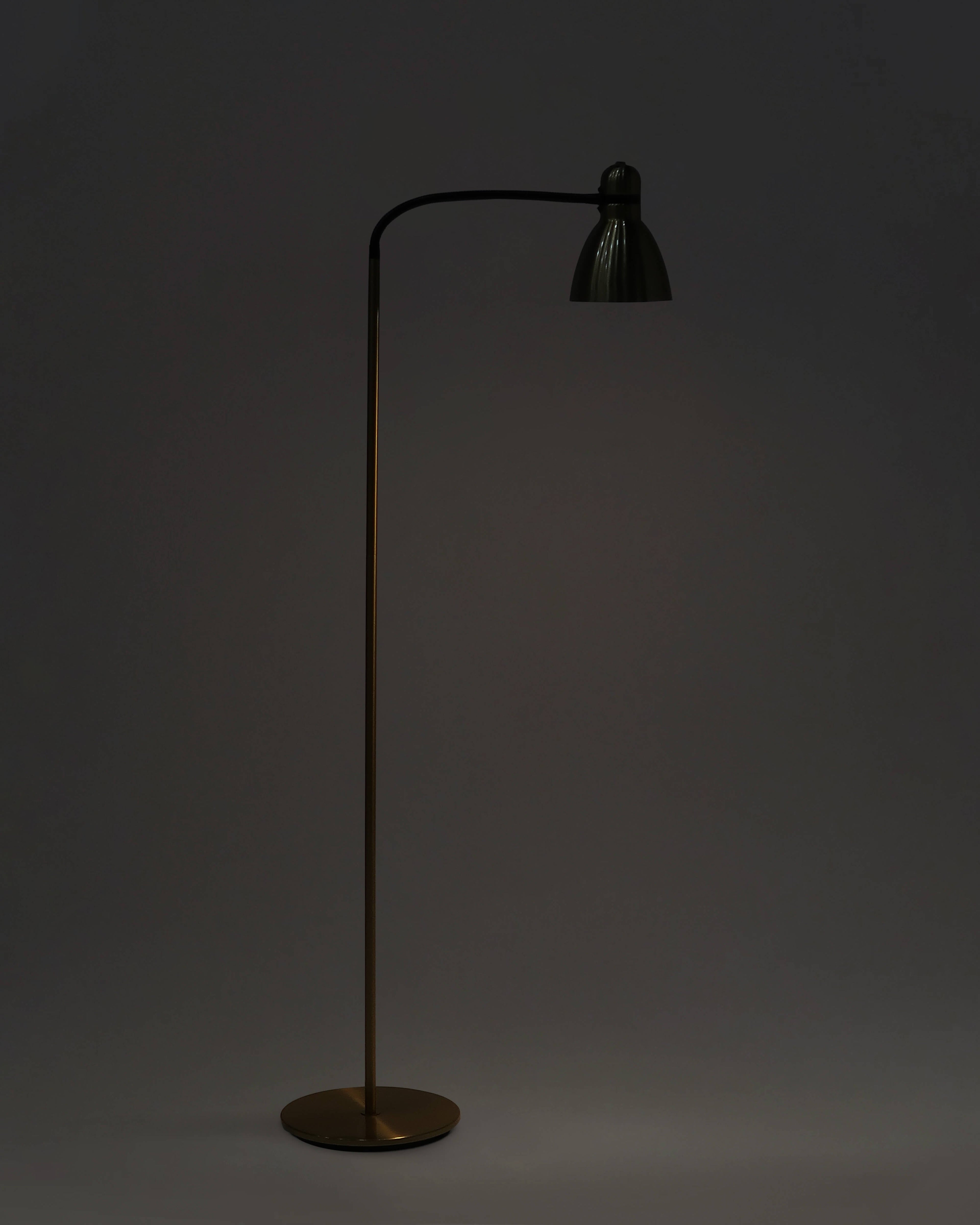 Avery Floor Lamp - Smart Ambient Lighting Comfort (Floor Lamp, Living Room Light, Modern Stand Light)