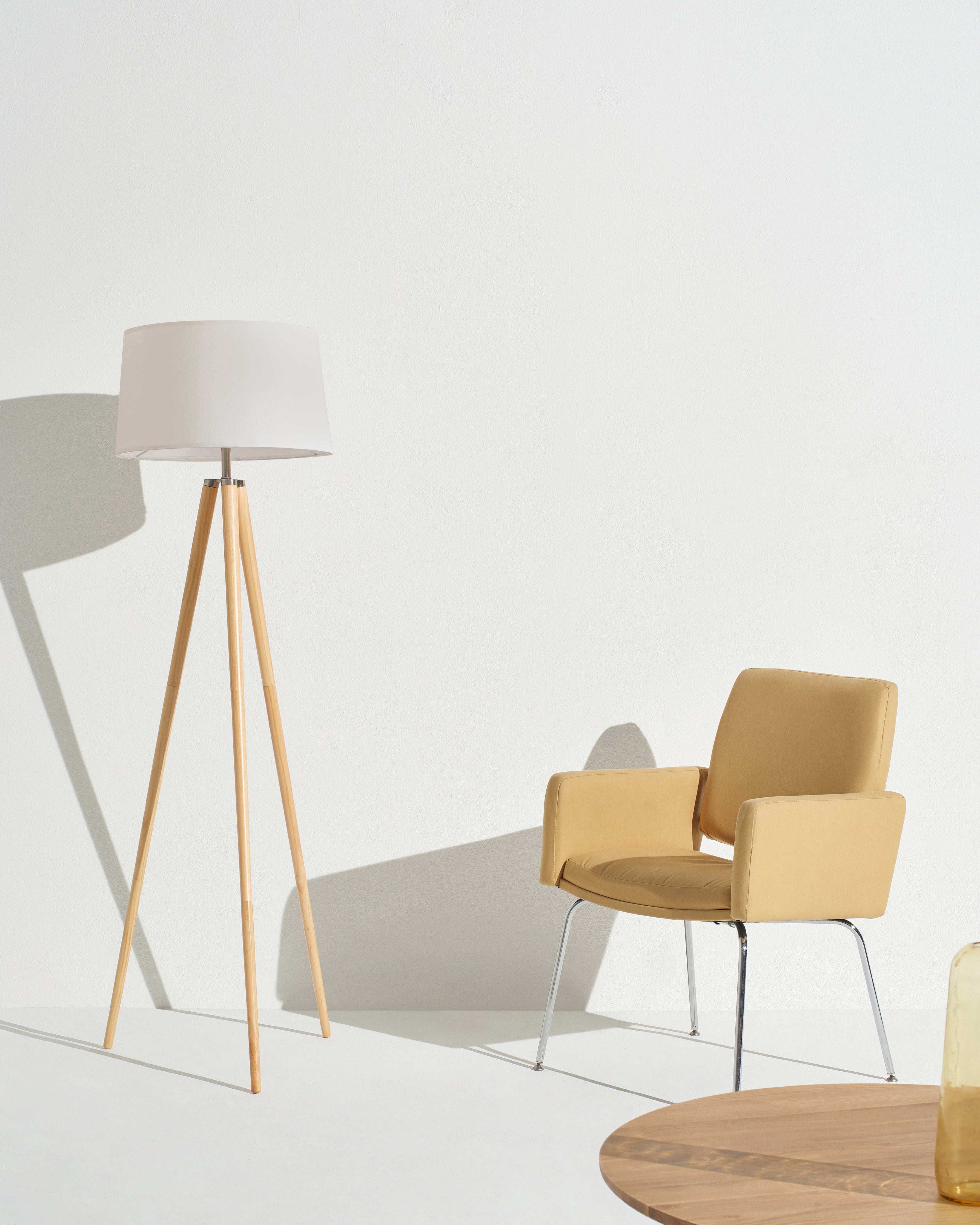 Emma Floor Lamp - Smart Ambient Lighting Comfort (Floor Lamp, Living Room Light, Modern Stand Light)