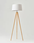 Emma Floor Lamp - Smart Ambient Lighting Comfort (Floor Lamp, Living Room Light, Modern Stand Light)