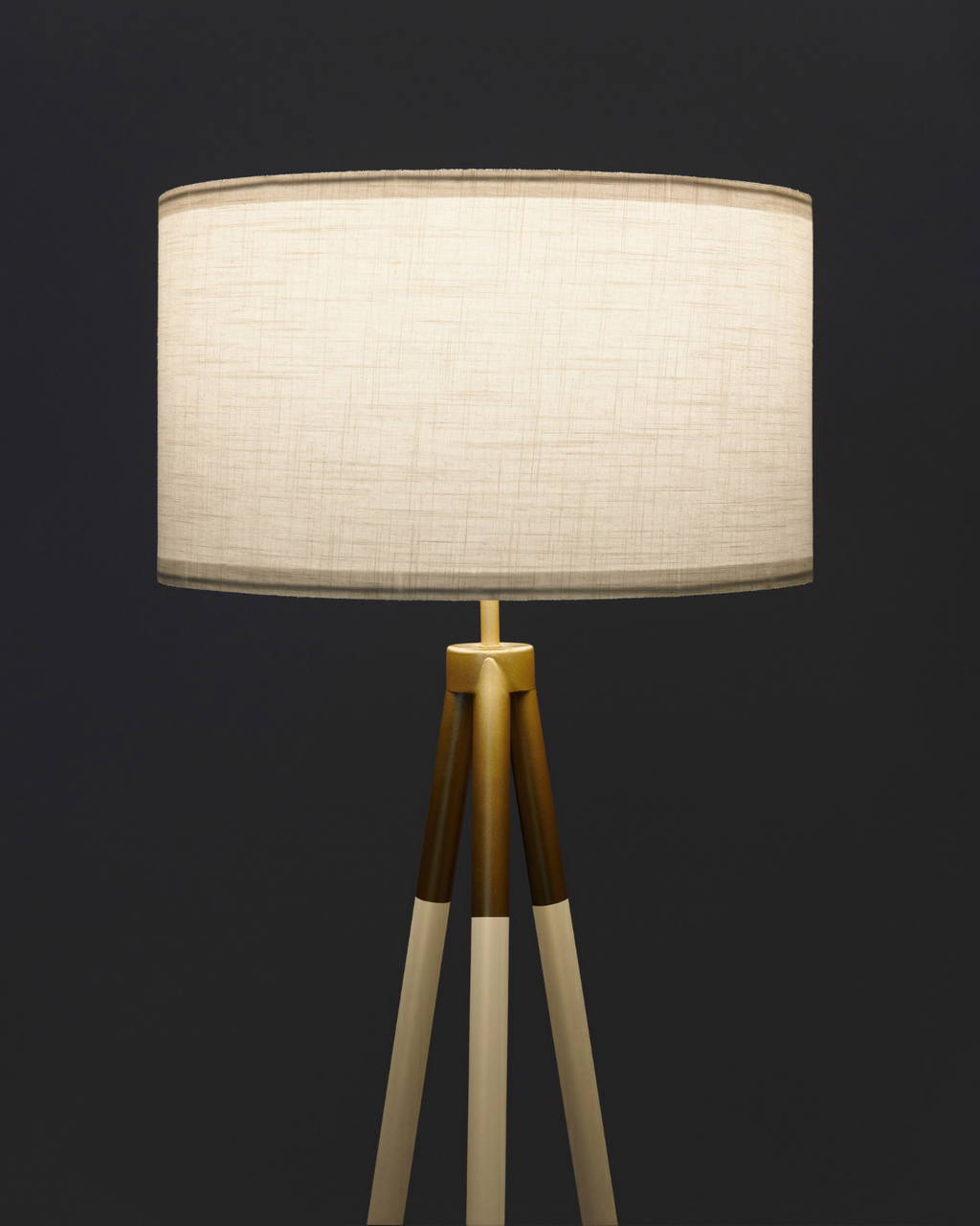 Levi Floor Lamp - Smart Ambient Lighting Comfort (Floor Lamp, Living Room Light, Modern Stand Light)
