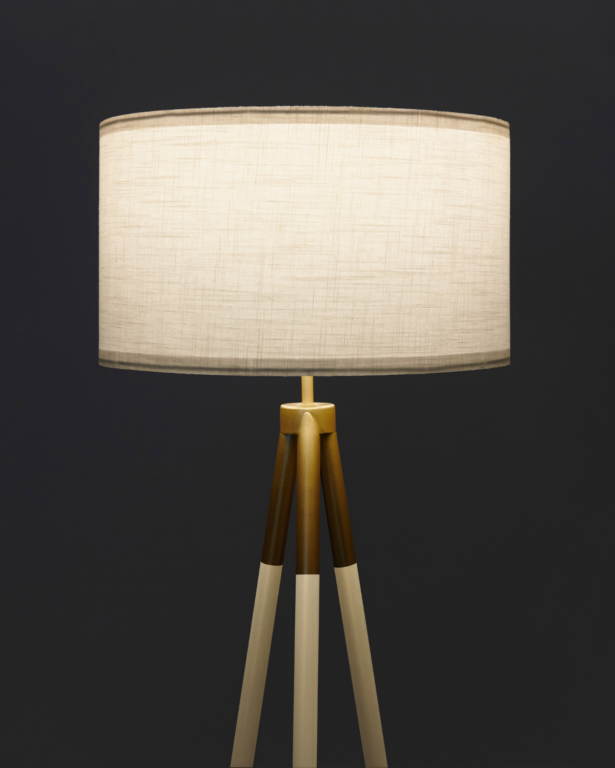 Levi Floor Lamp - Smart Ambient Lighting Comfort (Floor Lamp, Living Room Light, Modern Stand Light)